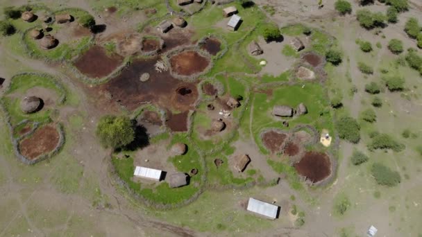 Letecký Flyby Pohled na vesnici Maasai na pobřeží jezera Natron před Ol Doinyo Lengai, Boží hora v jazyce Maasai, vesnice Engare Sero v oblasti Arusha i severní — Stock video