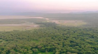 Akşam vakti Manyara Gölü 'nün üzerinde uçan hava manzaralı bir milli parkın yükselişi. Tanzanya 'daki Endişe Bölgesi Mto wa Mbu, Arusha yakınlarında..