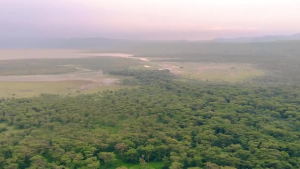 Emelkedő légi nézet Repülő tó felett Manyara Nemzeti Park este. Aggodalomra okot adó terület Tanzániában, Mto wa Mbu közelében, Arusha. — Stock videók