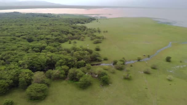 Widok z lotu ptaka nad jeziorem Manyara Park Narodowy wieczorem. Obszar troski w Tanzanii w pobliżu Mto wa Mbu, Arusha. — Wideo stockowe