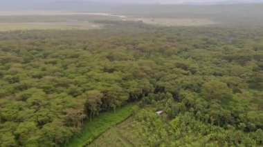 Akşam vakti Manyara Gölü 'nün üzerinde uçan hava manzaralı bir milli park. Tanzanya 'daki Endişe Bölgesi Mto wa Mbu, Arusha yakınlarında..