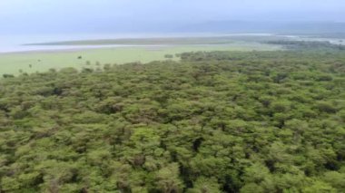 Akşam vakti Manyara Gölü üzerinde panoramik hava manzaralı uçuş. Tanzanya 'daki Endişe Bölgesi Mto wa Mbu, Arusha yakınlarında..