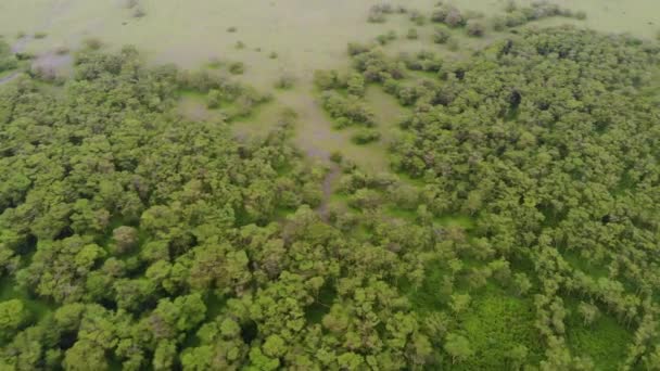 Vue Aérienne Voler Au-dessus Du Parc National Du Lac Manyara à Soirée. La zone de concertation en Tanzanie près de Mto wa Mbu, Arusha. — Video