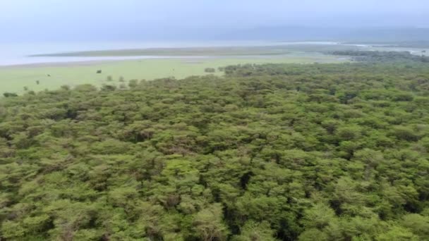 Panoramiczny widok z lotu ptaka nad jeziorem Manyara Park Narodowy w godzinach wieczornych. Obszar troski w Tanzanii w pobliżu Mto wa Mbu, Arusha. — Wideo stockowe