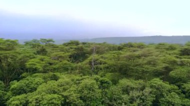 Akşam vakti Manyara Gölü 'nün üzerinde uçan hava manzaralı bir milli park. Tanzanya 'daki Endişe Bölgesi Mto wa Mbu, Arusha yakınlarında..