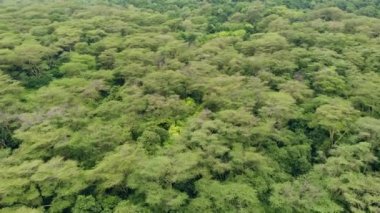 Akşam vakti Manyara Gölü 'nün üzerinde uçan hava manzaralı bir milli park. Tanzanya 'daki Endişe Bölgesi Mto wa Mbu, Arusha yakınlarında..