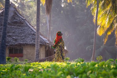 Zanzibar, Paje - Ocak 2020: Müslüman Afrikalı Kadın Akşam Saati 'nde Palm Trees in the Garden' da çatı arasında yürüyordu