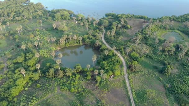 Luftaufnahme Über Palmen und Teichen auf der Insel Pemba, Archipel Sansibar. Ostküste der Insel Pemba bei Mtangani — Stockvideo