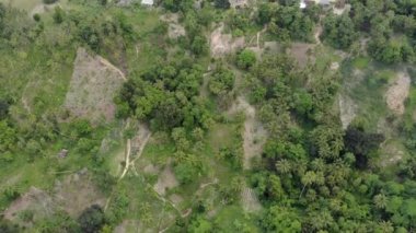 Tanzanya, Pemba adası, Zanzibar Takımadası 'ndaki küçük uzak bir dağda Aerial Flyby Top View