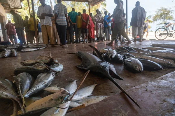 Нунгві, Занзібар, Танзанія, Африка - січень 2020: Рибний ринок в селі Нангві, люди купують рибу в громадському продажу. Пропозиція на аукціон риби на підлозі — стокове фото