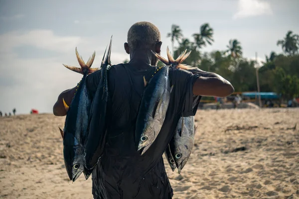 Schwarzafrikanischer Mann trägt morgens nach dem Angeln Thunfische auf dem Straßenfischmarkt im Dorf Nungwi — Stockfoto