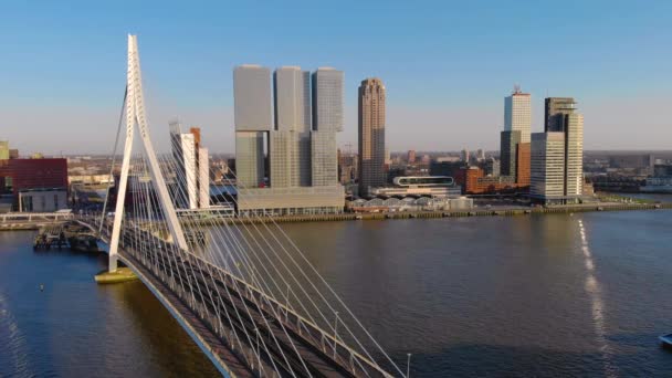オランダ・ロッテルダム2020年3月:エラスムス橋とロッテルダム市内の高層ビルの空中写真. — ストック動画