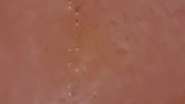 Luchtfoto Uitzicht op Shallow Red Lake Surface in Oekraïne Odessa, Kuyalnik lelie met gezonde modder en rood water van boven — Stockvideo