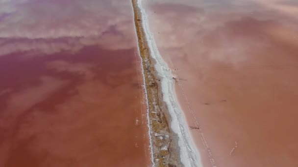 Luchtfoto Uitzicht op Shallow Red Lake Surface in Oekraïne Odessa, Kuyalnik lelie met gezonde modder en rood water van boven — Stockvideo