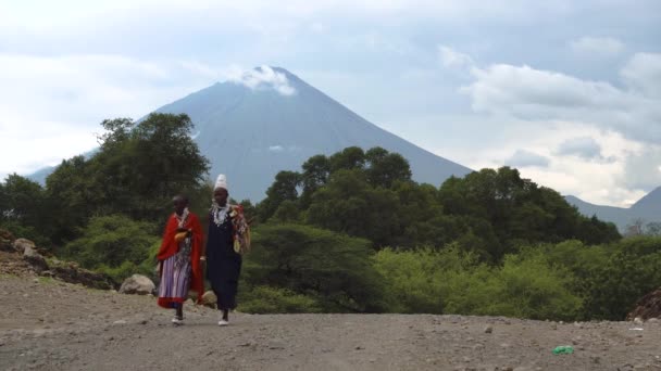 TANZANIA, MASAI VILLAGE - JANUARY 2020: Maasai lidé v rodné masajské vesnici Engare Sero na pobřeží jezera Natron v údolí Rift poblíž sopky Ol Doinyo Lengai — Stock video