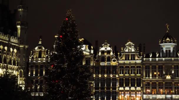 Vista sulla piazza della Grand Place illuminata e sull'albero di Natale di notte, Brusseles, Belgio — Video Stock