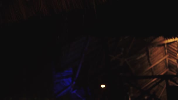 Tempestade noturna tropical em Zanzibar. Silhueta de palmeiras contra céu noturno escuro com relâmpago no fundo — Vídeo de Stock