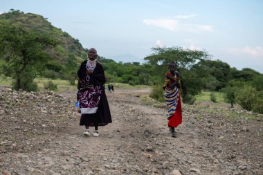 TANZANIA, EAST AFRİKA - 2020 HAZİRAN: Geleneksel kıyafet ve silah giymiş iki Masai Kadını, Yeşil akasya ağaçlarıyla çevrili Çakıl Yolu 'nun kenarındaki savanada yürüyor
