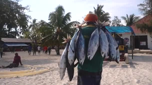 Siyah Afrikalı adam balık avladıktan sonra Nungwi köyündeki Sokak Balık Pazarı 'nda ton balığı taşıyor. — Stok video
