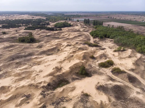 Drone aéreo disparado no maior deserto da Europa, Ucrânia - Areias Oleshky com alguns arbustos e pinheiros. Plantas no deserto, muita areia amarela — Fotografia de Stock