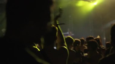 Bir Konserde Şenlikli İnsanlar. Yavaş Çekimde Sahnenin Önünde Dans Eden Neşeli İnsanların Silueti. Yüksek kalite 4k görüntü