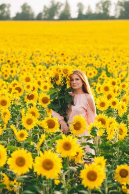 Ayçiçeği büyük bir sarı alanda güzel kız. 