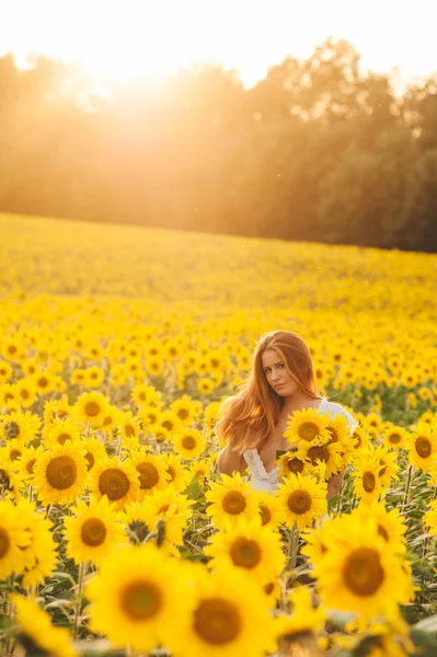 Menina bonita em um enorme campo amarelo de girassóis . — Fotografia de Stock