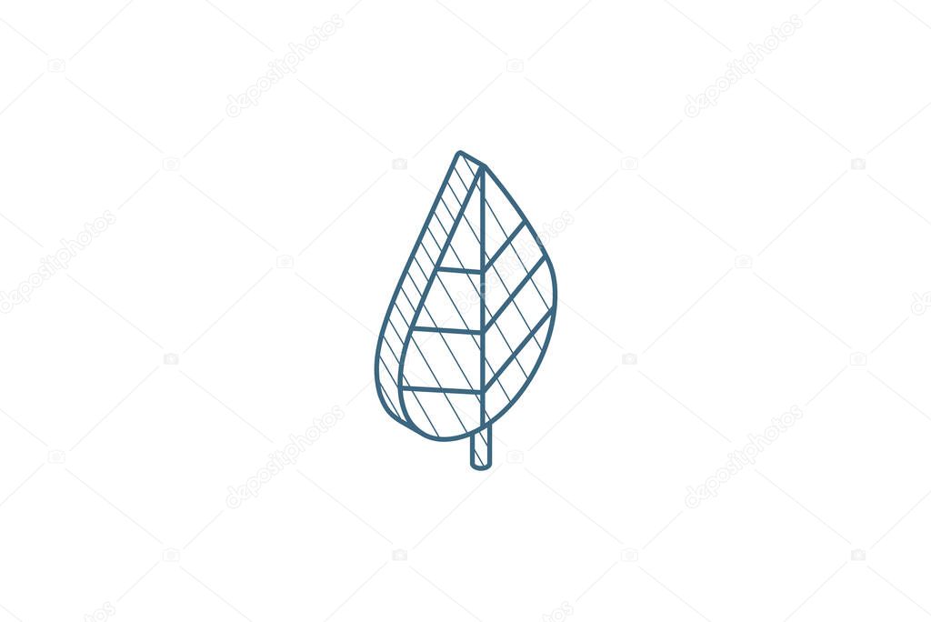 green leaf, eco isometric icon. 3d vector illustration. Isolated line art technical drawing. Editable stroke