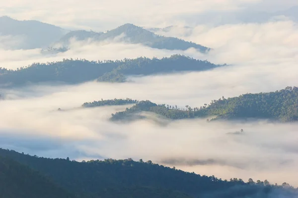 Ομίχλη Που Κινείται Κατά Μήκος Βουνά Πρωί Και Φως Του — Φωτογραφία Αρχείου