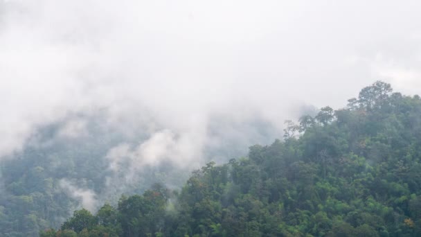 Lapso Tiempo Niebla Mueve Por Las Montañas Mañana Luz Del — Vídeos de Stock