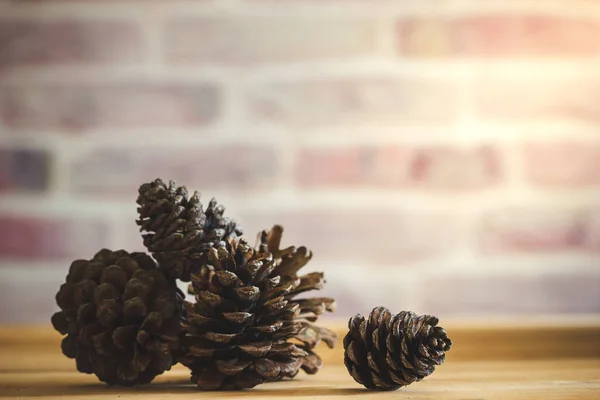 Pine Cone on wooden table and brick wall background with morning — Stock Photo, Image