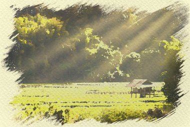 Orman ve dağ arasında çeltik cottage.