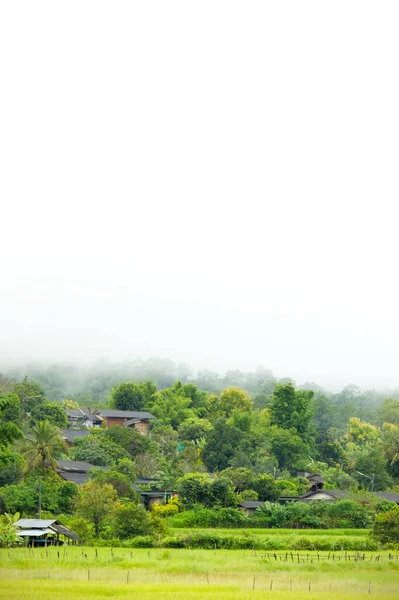 Pueblos Rurales Tailandia Zona Asiática Campos Arroz Entre Las Montañas —  Fotos de Stock