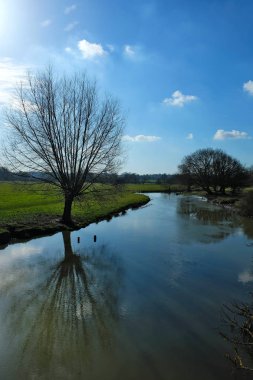 Ağaçlar, su ve mavi gökyüzü açık havada güzelliği kombine.