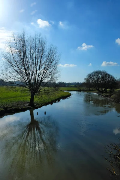 Ağaçlar, su ve mavi gökyüzü açık havada güzelliği kombine.