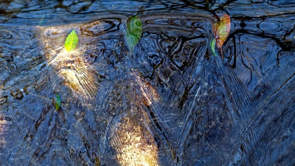Естественная Красота Водного Потока Забитого Опавшими Листьями — стоковое фото