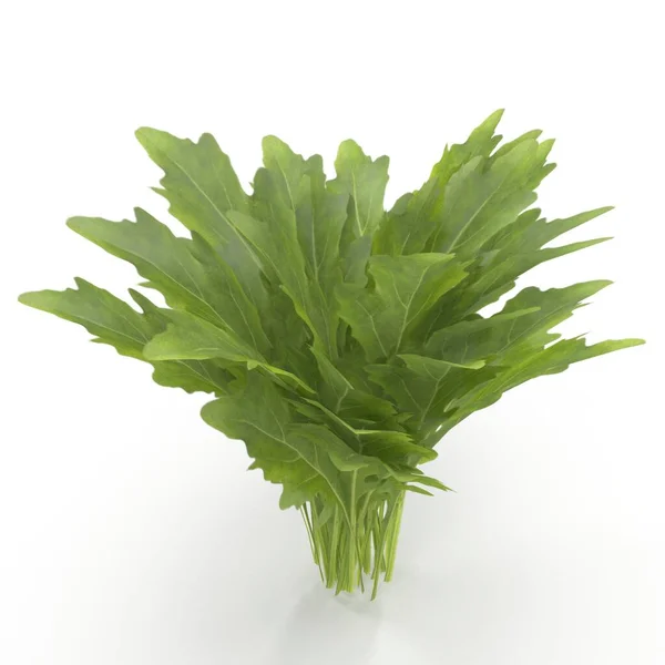 Photorealistic Highly Detailed Model Young Arugula Plant Render — Stock Photo, Image