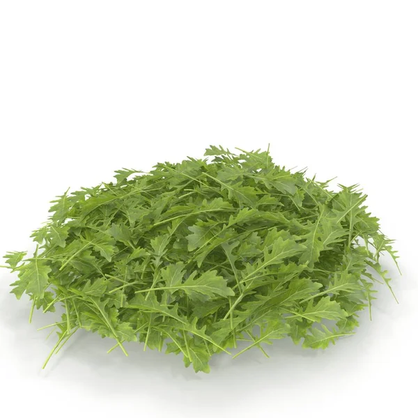 Photorealistic Highly Detailed Model Young Arugula Plant Render — Stock Photo, Image