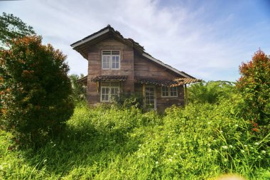 Görüntü eski orman çalılar ile büyümüş evi terk  