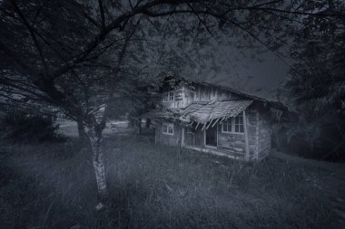 Yıkık ahşap ev resmi gece zaman ağaçlar arasında ürkütücü görünüyor