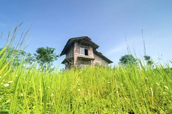 Nízký Úhel Pohled Zanedbané Dřevěný Dům Havarijním Stavu Porostlých Keři — Stock fotografie
