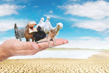 Nesli tükenmekte olan hayvanlar bir kuru dere arka plan ile tutarak bilinmeyen bir adam el kapatın. Küresel ısınmanın kavramı