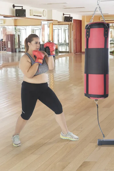 Portrait Young Fat Woman Exercising Boxing Bag While Standing Fitness — Stock Photo, Image