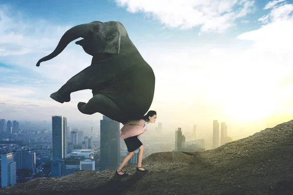 Picture Caucasian Businesswoman Lifting Elephant While Walking Uphill — Stock Photo, Image