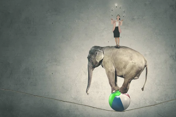 Female Entrepreneur Juggling Many Lamps While Standing Circus Elephant — Stock Photo, Image