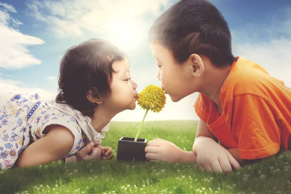 兄弟姐妹在草地上亲吻花朵 阳光照耀在背景中 夏季或春季概念 — 图库照片