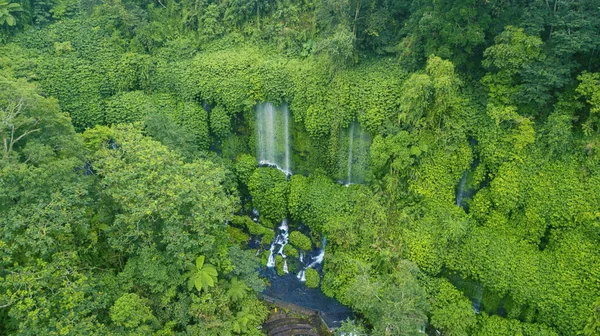Top View Beautiful Benang Kelambu Waterfall Tropical Forest Lombok Indonesia — Stock Photo, Image