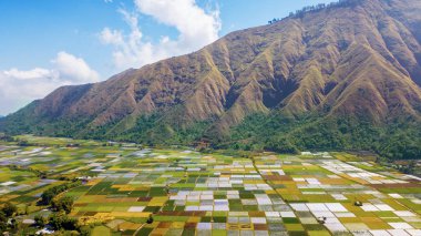 Lombok, Endonezya'nın eteklerinde Rinjani yanardağ yakınındaki renkli tarım alanlarının güzel havadan görünümü