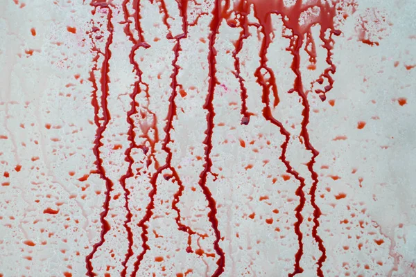 Halloween Horror Konzept Bild Von Blutflüssigkeit Der Wand Bespritzt — Stockfoto