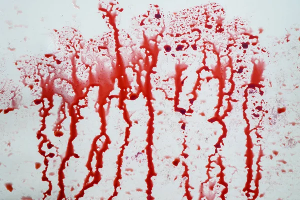 Imagen Manchas Sangre Salpicando Pared Blanca Concepto Horror Halloween — Foto de Stock